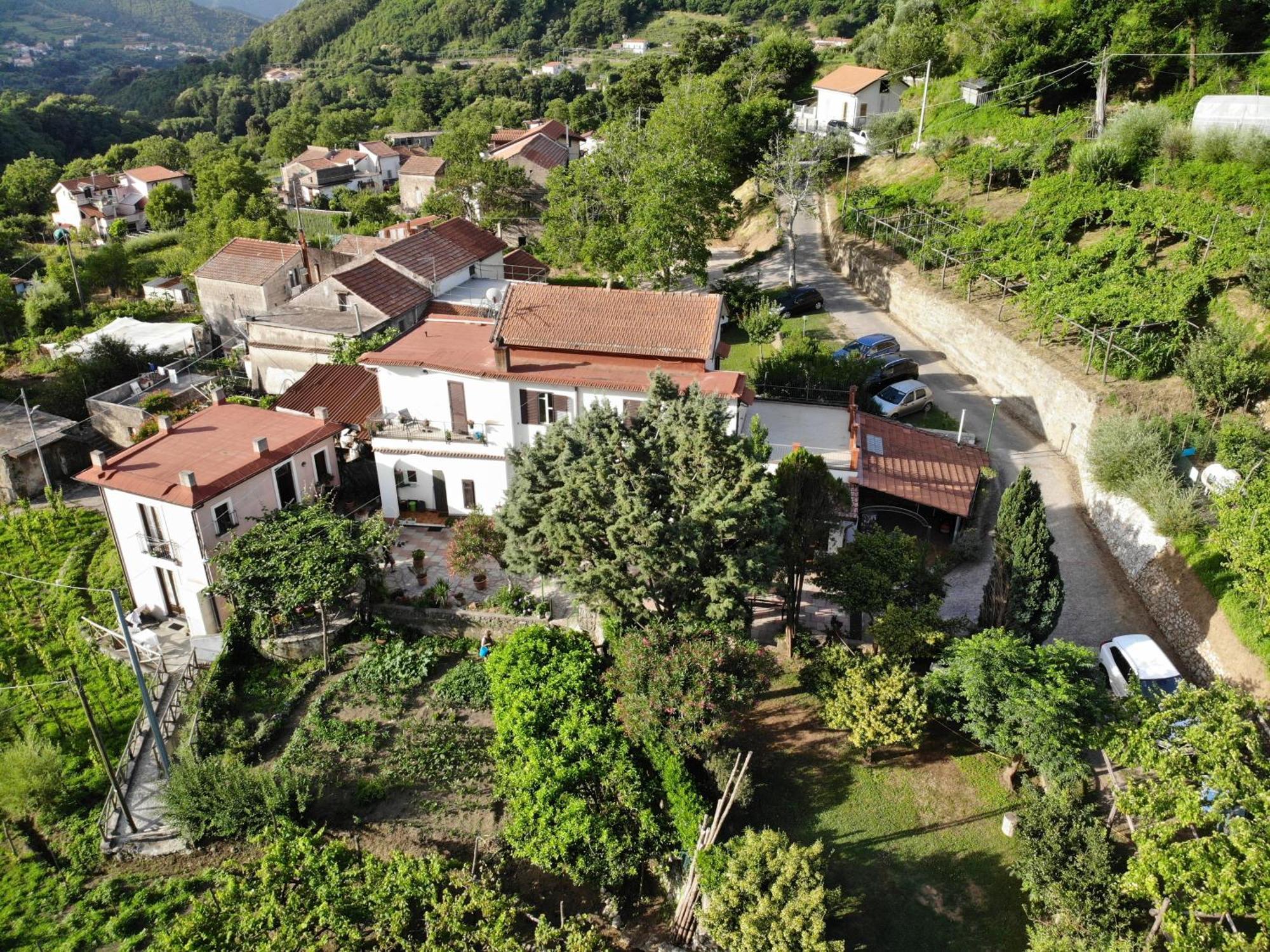 Agriturismo Mare E Monti Tramonti Kültér fotó