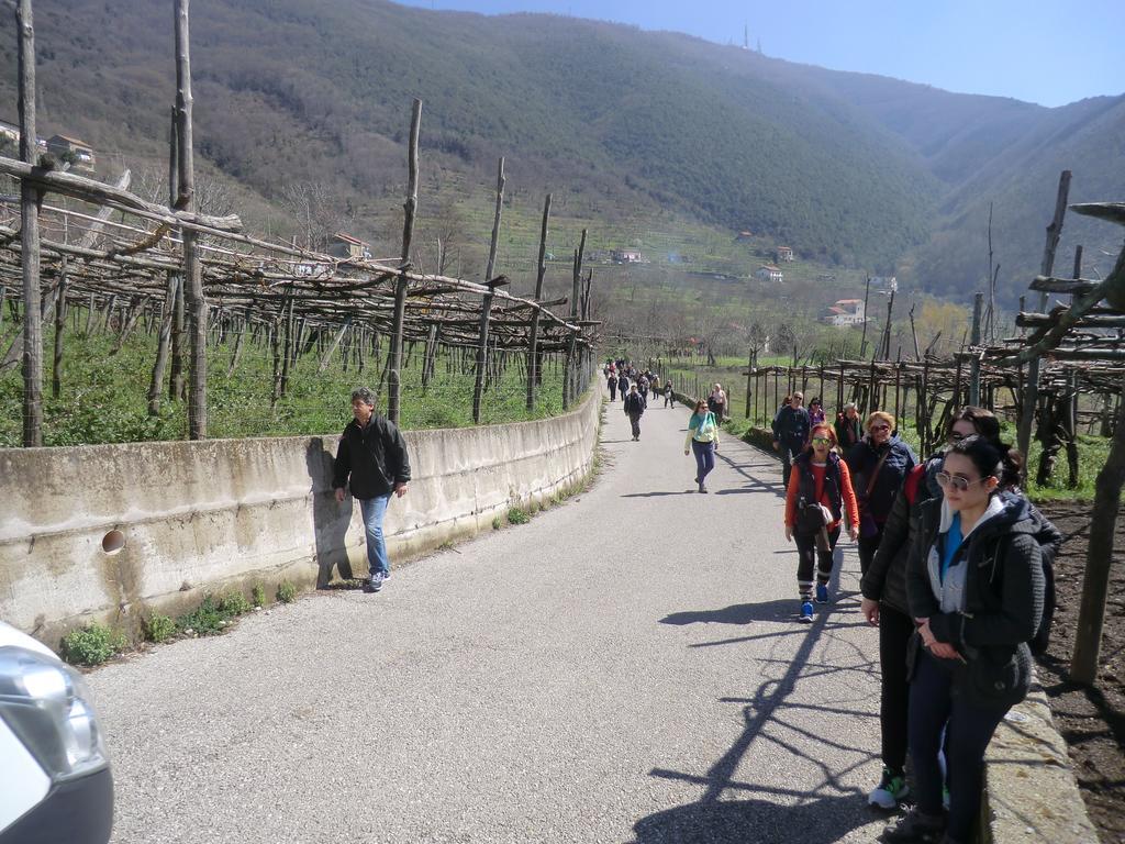 Agriturismo Mare E Monti Tramonti Kültér fotó